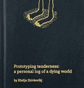 Prototyping Тenderness